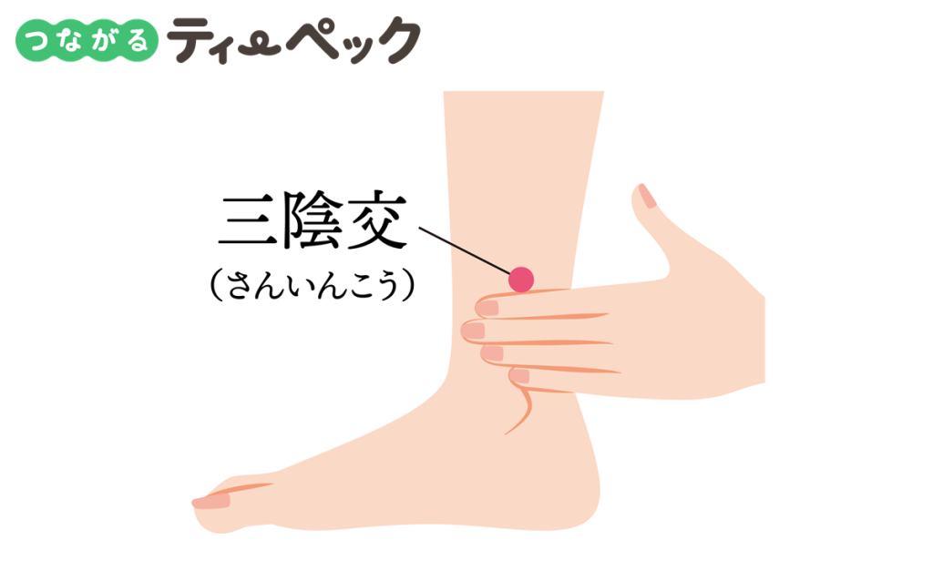 三陰交の位置の図解